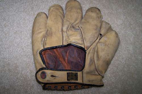 D&M G36 1 Inch Web Back